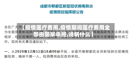 【疫情医疗费用,疫情期间医疗费用全部由国家承担,说明什么】-第2张图片