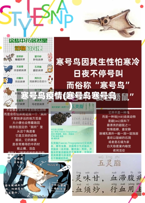 寒号鸟疫情(寒号鸟寒号鸟)