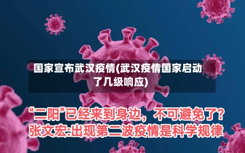 国家宣布武汉疫情(武汉疫情国家启动了几级响应)-第3张图片