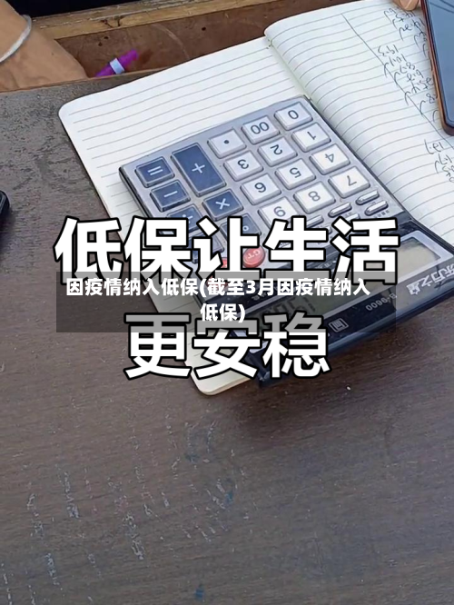 因疫情纳入低保(截至3月因疫情纳入低保)-第3张图片