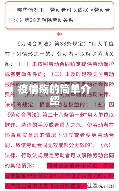 疫情殇的简单介绍-第3张图片