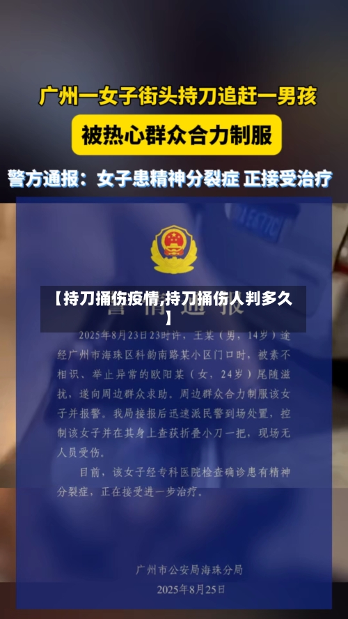 【持刀捅伤疫情,持刀捅伤人判多久】
