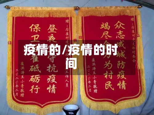 疫情的/疫情的时间