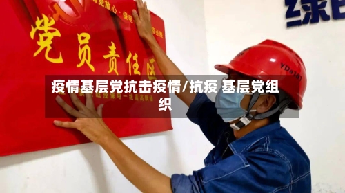 疫情基层党抗击疫情/抗疫 基层党组织-第2张图片