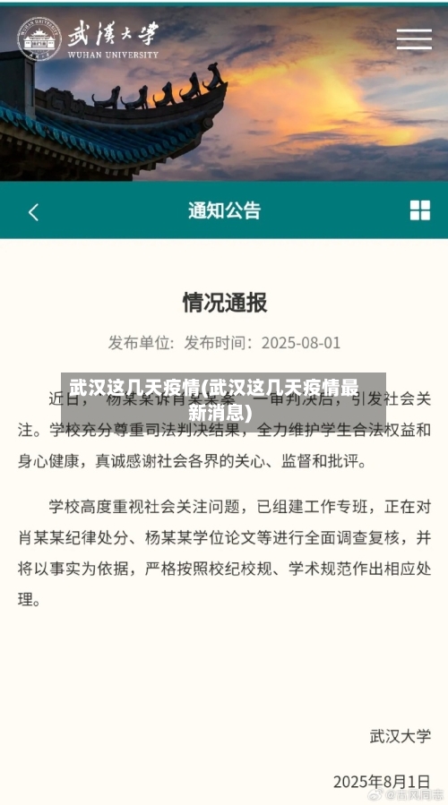武汉这几天疫情(武汉这几天疫情最新消息)
