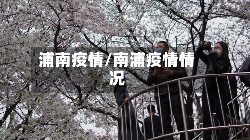 浦南疫情/南浦疫情情况