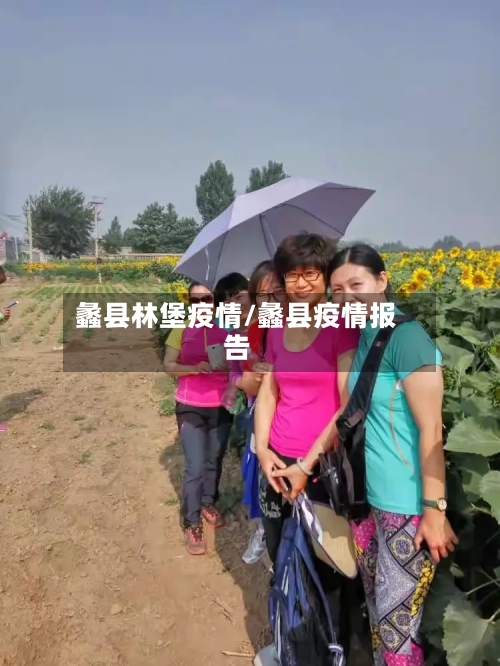 蠡县林堡疫情/蠡县疫情报告
