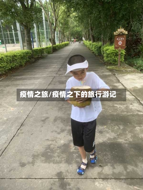 疫情之旅/疫情之下的旅行游记