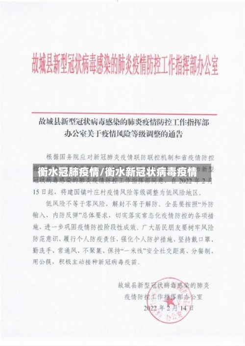 衡水冠肺疫情/衡水新冠状病毒疫情-第2张图片