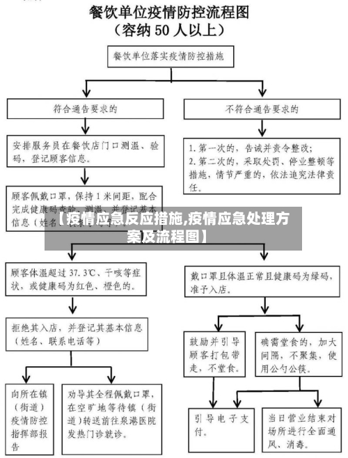 【疫情应急反应措施,疫情应急处理方案及流程图】