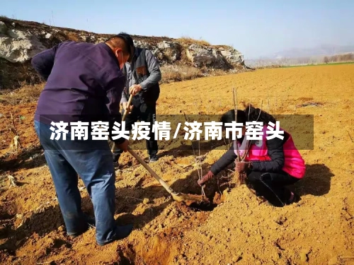 济南窑头疫情/济南市窑头