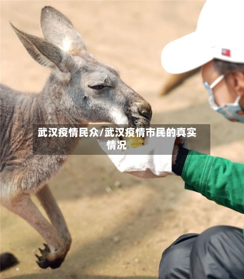 武汉疫情民众/武汉疫情市民的真实情况-第3张图片