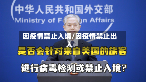 因疫情禁止入境/因疫情禁止出入-第2张图片