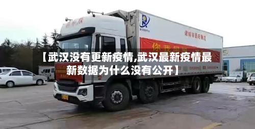 【武汉没有更新疫情,武汉最新疫情最新数据为什么没有公开】-第2张图片