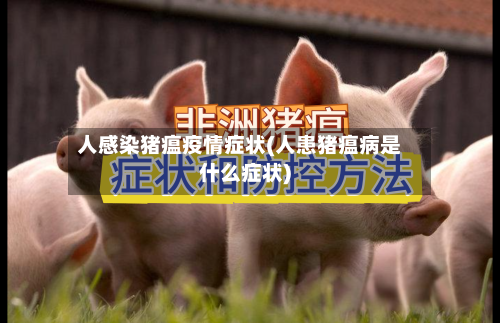 人感染猪瘟疫情症状(人患猪瘟病是什么症状)