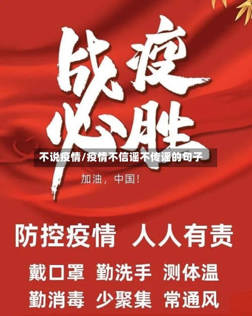 不说疫情/疫情不信谣不传谣的句子