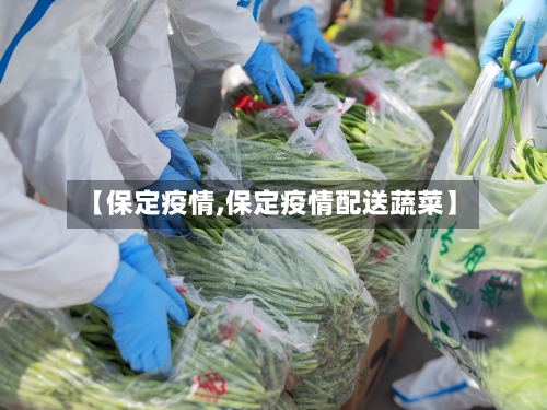 【保定疫情,保定疫情配送蔬菜】