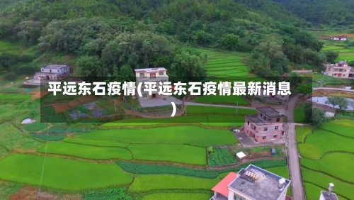 平远东石疫情(平远东石疫情最新消息)