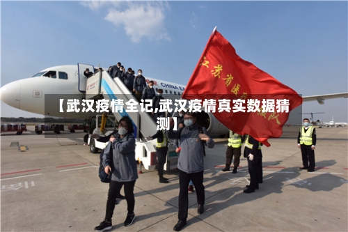 【武汉疫情全记,武汉疫情真实数据猜测】