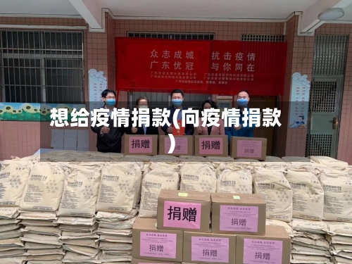想给疫情捐款(向疫情捐款)-第3张图片