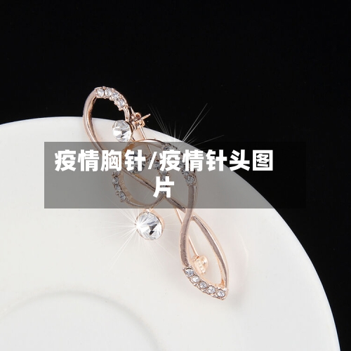 疫情胸针/疫情针头图片