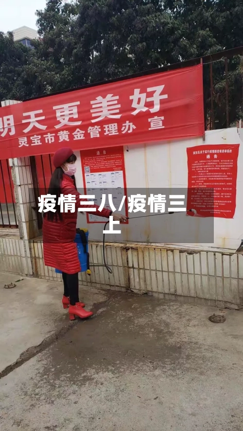疫情三八/疫情三上