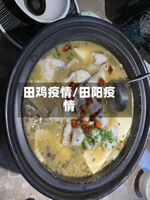 田鸡疫情/田阳疫情