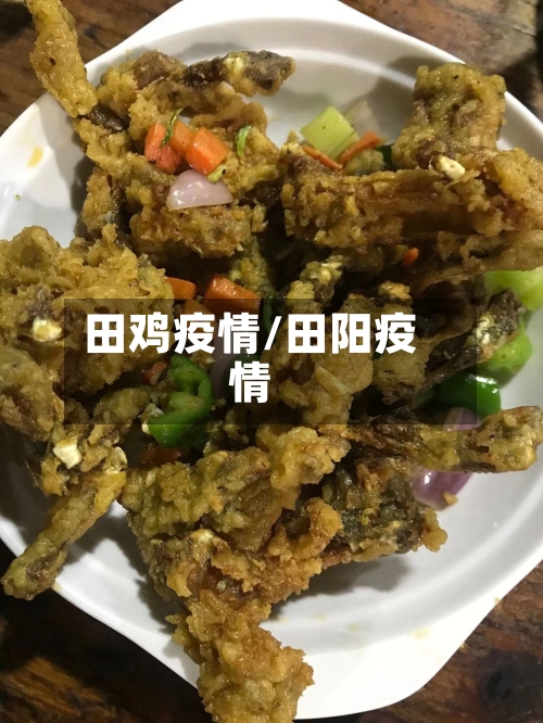 田鸡疫情/田阳疫情-第2张图片
