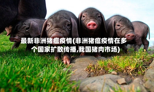 最新非洲猪瘟疫情(非洲猪瘟疫情在多个国家扩散传播,我国猪肉市场)
