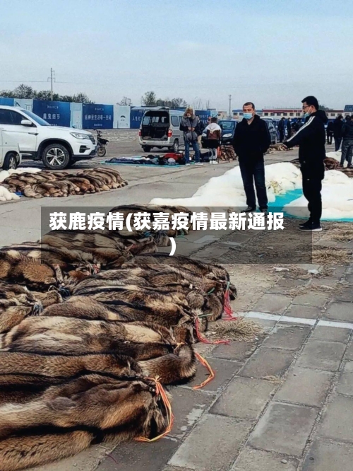 获鹿疫情(获嘉疫情最新通报)-第2张图片