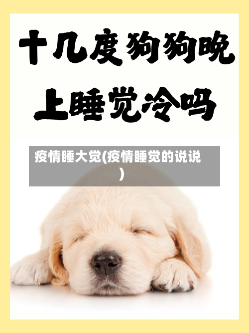 疫情睡大觉(疫情睡觉的说说)-第2张图片