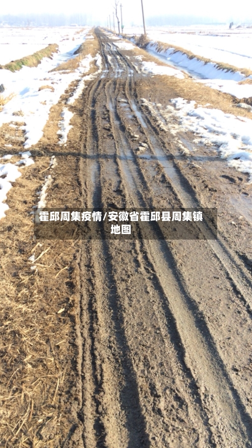 霍邱周集疫情/安徽省霍邱县周集镇地图-第3张图片