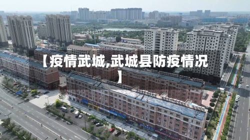 【疫情武城,武城县防疫情况】