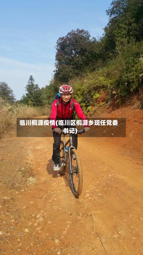临川桐源疫情(临川区桐源乡现任党委书记)