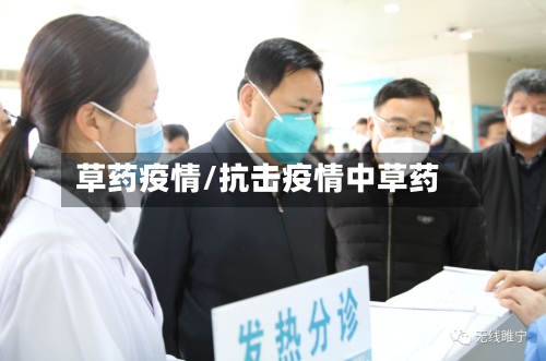 草药疫情/抗击疫情中草药-第2张图片