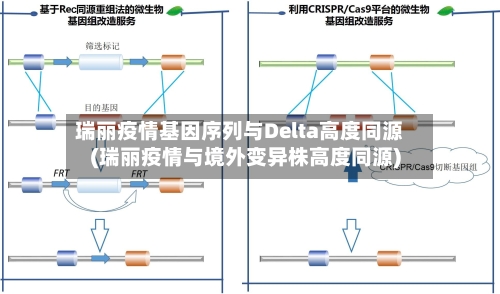 瑞丽疫情基因序列与Delta高度同源(瑞丽疫情与境外变异株高度同源)