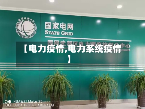 【电力疫情,电力系统疫情】