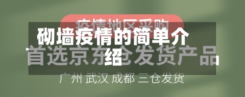 砌墙疫情的简单介绍-第2张图片