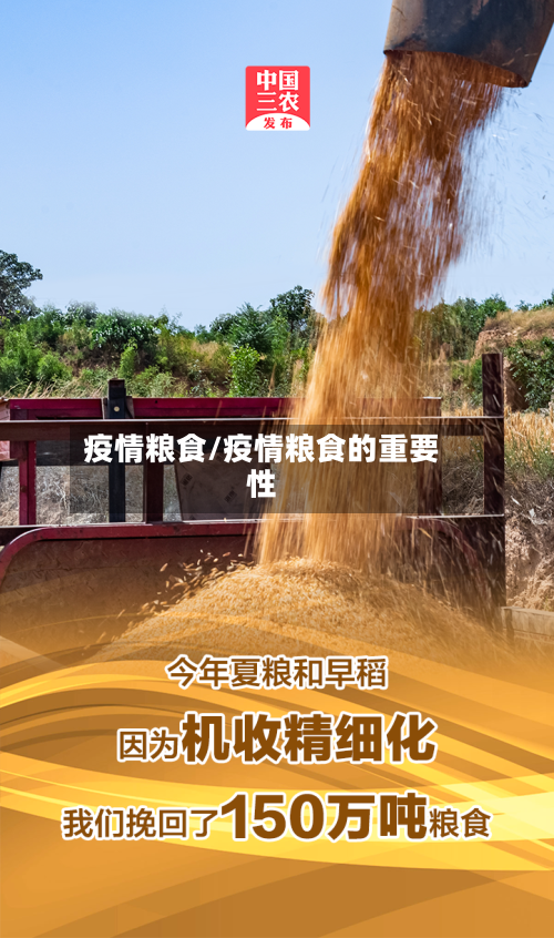 疫情粮食/疫情粮食的重要性