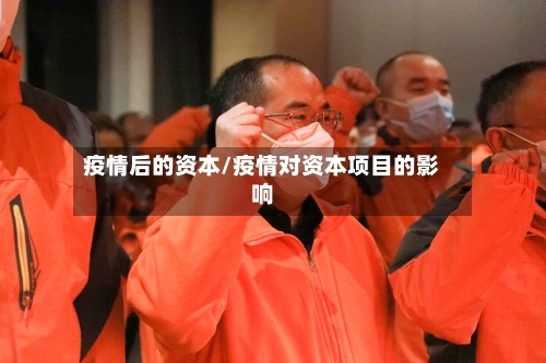 疫情后的资本/疫情对资本项目的影响-第3张图片