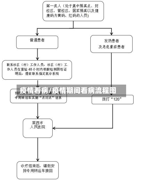 疫情看病/疫情期间看病流程图