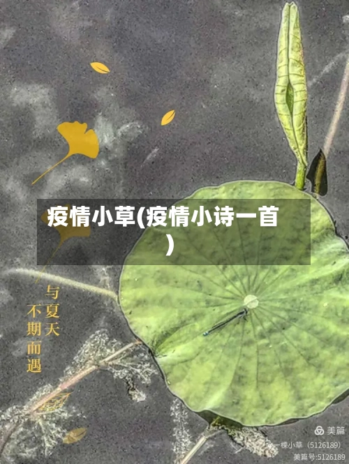 疫情小草(疫情小诗一首)