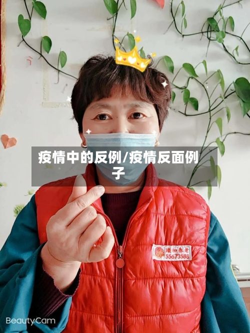 疫情中的反例/疫情反面例子