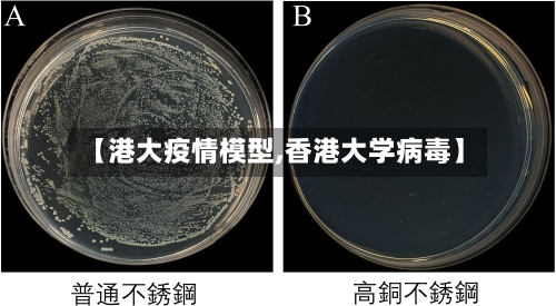 【港大疫情模型,香港大学病毒】