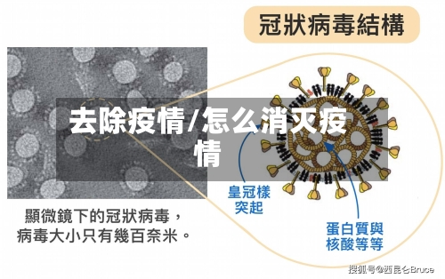 去除疫情/怎么消灭疫情