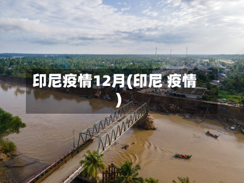 印尼疫情12月(印尼 疫情)