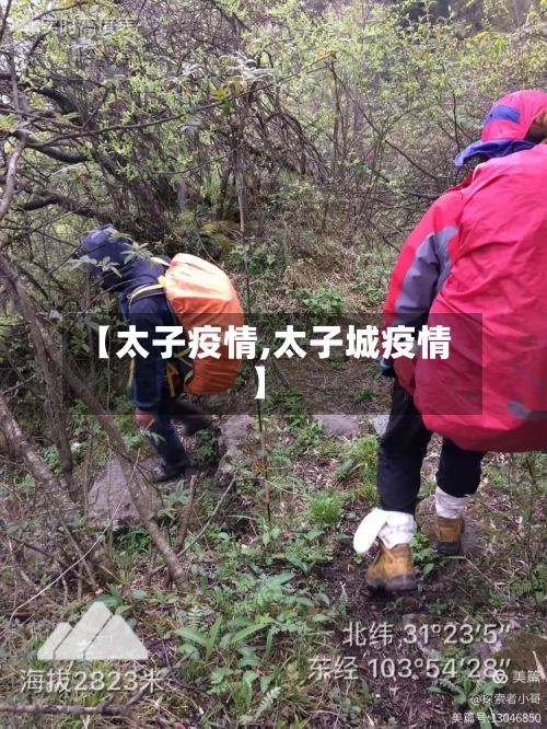 【太子疫情,太子城疫情】-第2张图片
