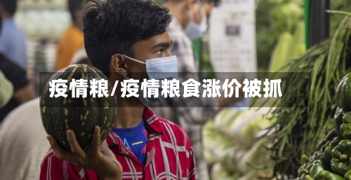 疫情粮/疫情粮食涨价被抓