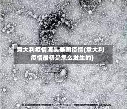 意大利疫情源头美国疫情(意大利疫情最初是怎么发生的)