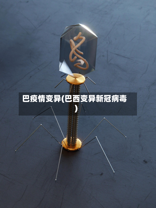 巴疫情变异(巴西变异新冠病毒)-第2张图片